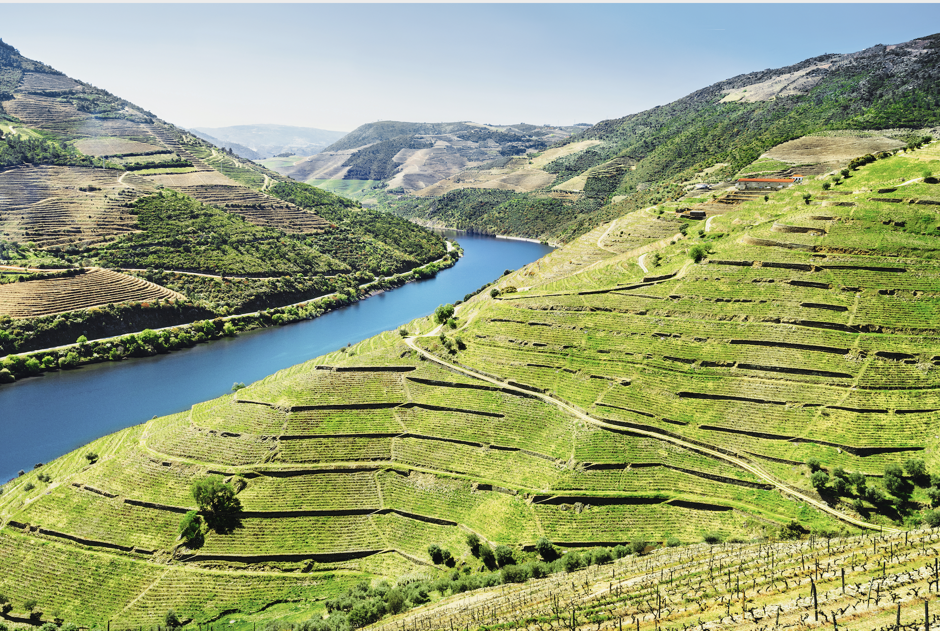 Scenic fields of Portugal